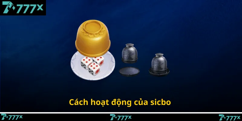 Cách hoạt động của sicbo